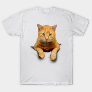 Cat in a pocket T-Shirt